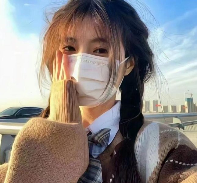 使君有妇